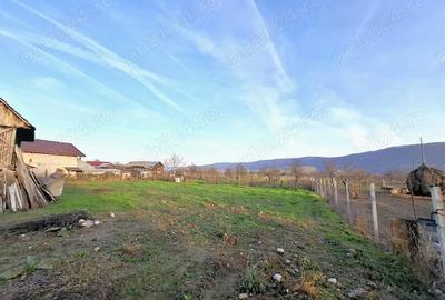 Casă în Pleșoiu (Nicolae Bălcescu) - 16