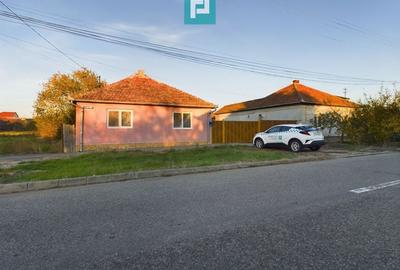 Teren generos și casă în Sânnicolau Mic - 1