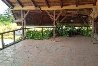 Vanzare Vila/casa P+1 Budesti pretabil mica productie/azil de batrani - 8