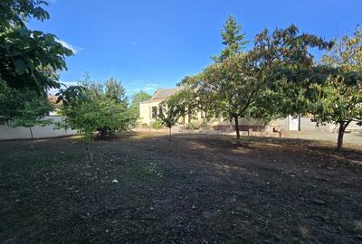 Casă individuală cu 3 camere cu Canalizare în Cenad - 10