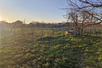 Casa de vanzare in Pancota - 8