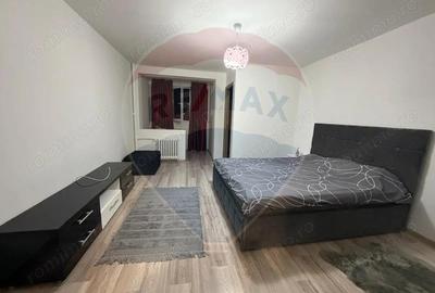 Garsonieră semidecomandată în Brazda lui Novac - 1