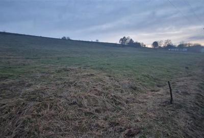 De vanzare teren 1,2 Ha in Laureni De vanzare teren 1,2 Ha in Laureni - 4