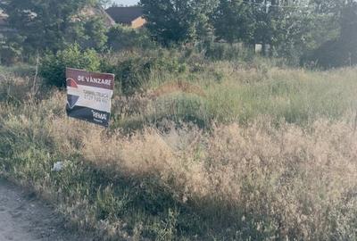 Spațiu comercial, în Albești - 9