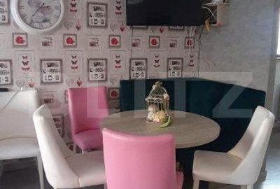 Spațiu comercial, de 320 mp, în Ipotești