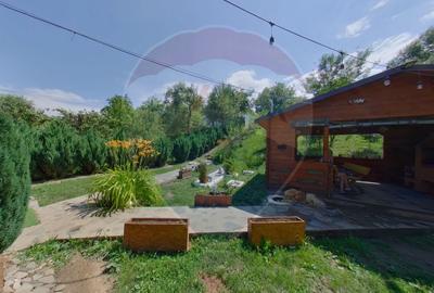 Casa / Vila cu 4 camere de vanzare - 10
