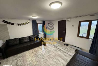Spațiu comercial, în Vidra - 8