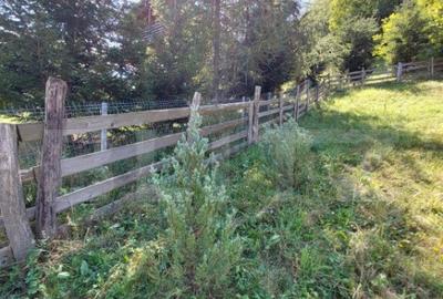 Teren cu autorizatie de constructie, 1130 mp in Muntele Rece - 9