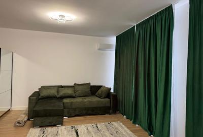 Garsonieră semidecomandată în Valea Ialomiței - 2