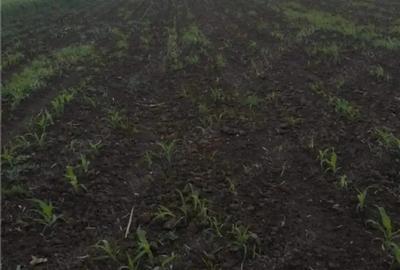 Vind teren 5000 mp - 1