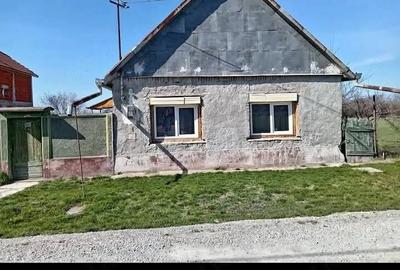Casă cu Teren 3000 Mp în Ciumeghiu - 3