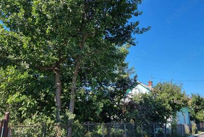 Casă în Rădăuți - 1