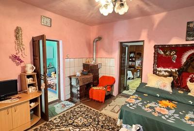 Casă cu 3 camere cu Teren 1413 Mp în Sânnicolau Român - 7