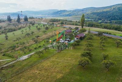 Teren Investitie- 1730 mp-Cabana construita 60 mp - 11