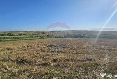 Teren de 7500 mp, în Moara - 6