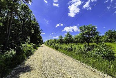 Teren intravilan Cotmeana Arges - 2