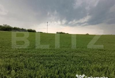 Casă cu 4 camere cu Teren 21500 Mp în Dej - 2