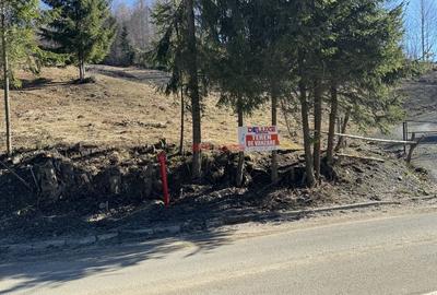 Teren intravilan Colibita-DJ 173 A - 4