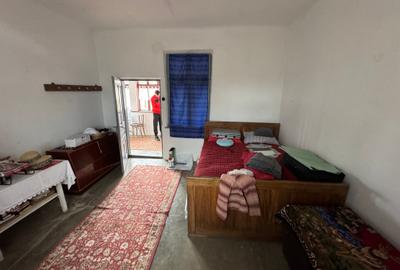 Casă cu 6 camere cu Teren 2126 Mp în Roșiori - 3