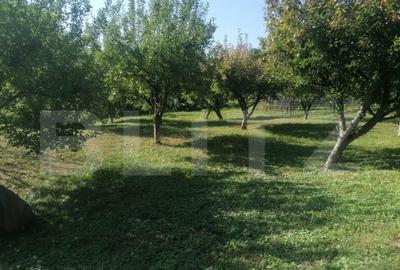 Casa cu arhitectura deosebita, iaz, panouri solare, 370mp, z - 6