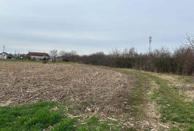 Vand parc.teren 7.800 mp(38x203),extravilan(posib.intravilan)la inrare in Zadareni - 5