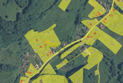 Teren agricol intravilan de 14368 mp, în Valea Bradului - 10