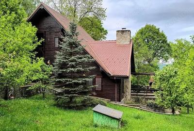 Casă cu Teren 4042 Mp în Nistorești - 3