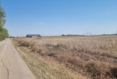 Spațiu comercial, în Săftica - 6