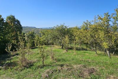 Spațiu comercial, în Central - 3