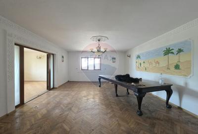 De vanzare proprietate unicat in Sascut - Bacau - 23