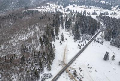 Teren Construcții intravilan de 10440 mp, în Poiana Brașov - 10