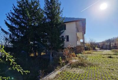Casă cu 8 camere cu Teren 3659 Mp în Gura Beliei - 8