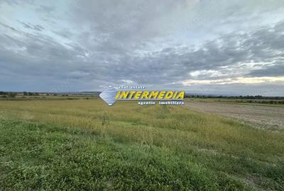 Teren de 2300 mp, în Mereteu - 7