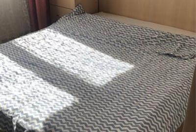 Apartament cu 2 camere nedecomandat, mobilat în Brâncoveanu - 3