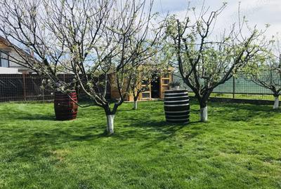 Vand casa ora? Giurgiu, drumul Amurgului Vand casa ora? Giurgiu, drumul Amurgului - 8