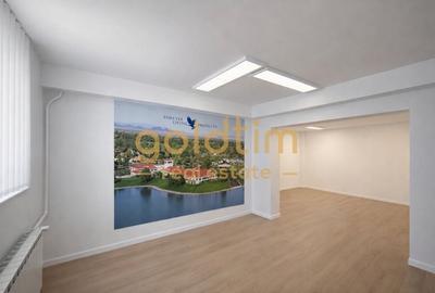 Casă individuală cu 18 camere cu Canalizare în Aviatorilor - 12