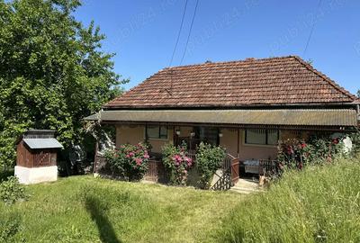 Vand casa de caramida sat Bodesti -comuna Halmagiu Arad - 1