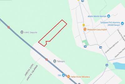 FRUMUSANI-ORASTI, LOT 7630 MP! - 2