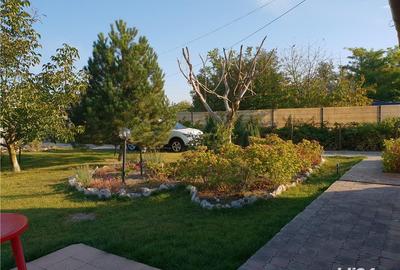 Casă cu 5 camere cu Teren 6000 Mp în Topraisar - 2