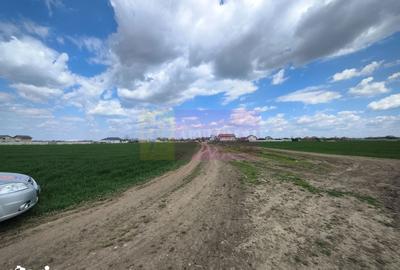Teren de 12450 mp, în Cernica - 16