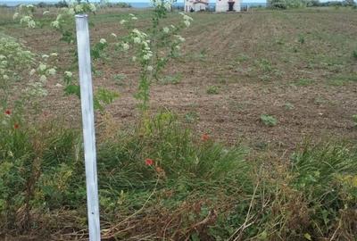 EXCLUSIV! Teren intravilan  - 2 Mai - Vama Veche - 20 euro/mp(E3) - 8