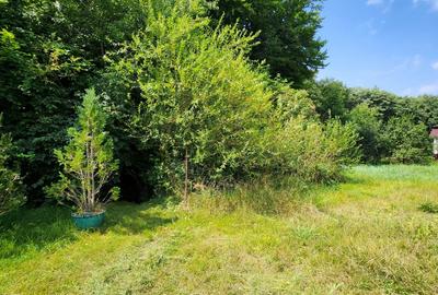 Teren intravilan, 1195mp, utilitati, la liziera padurii, parau, Faget Teren intravilan, 1195mp, utilitati, la liziera padurii, parau, Faget - 5