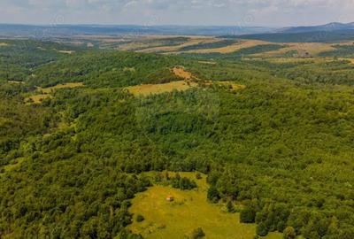 COMISION 0% Teren 1020mp / Intravilan/PUZ/ Grid - 1