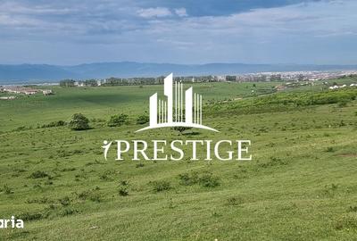 Teren de 2000 mp, în Trei Stejari - 8