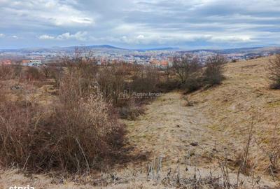 Spațiu comercial, în Aurel Vlaicu - 4