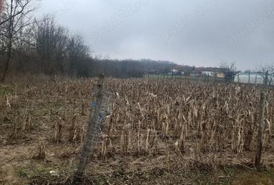 Casă cu 2 camere în Zegujani - 3