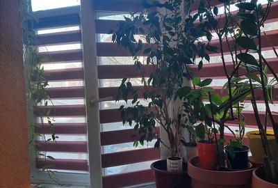 Apartament cu 3 camere semidecomandat în Central - 5