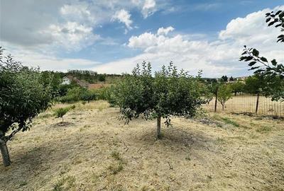 CASA P+M | TEREN 2200 MP | STRADA SOFIEI | ZONA DEALURI - 21