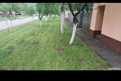 Casă cu 4 camere în Central - 5