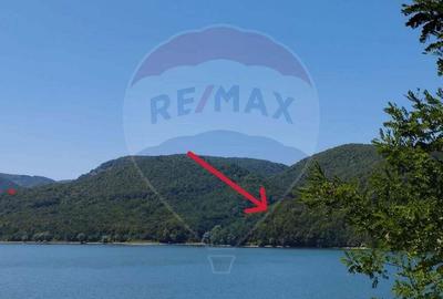 Teren forestier langa lacul Cincis, jud Hunedoara - 1